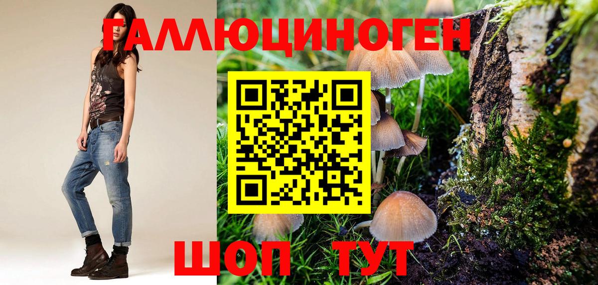 Галлюциногенные грибы Magic Shrooms  Галлюциногенные грибы ЛСД  Вход с VPN  Киров 